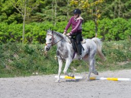 IMG_0510_web